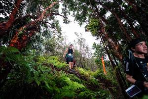 BIB: 
                            <button type="button" onclick="openModal(26202449)" class="btn btn-primary btn-sm float-right btn-popup" data-toggle="modal" data-target=".modal-high-quality">
                        <i class="fas fa-shopping-cart"></i> Add to Cart
                    </button>
                                            <button type="button" onclick="isThisMe(26202449, true)" class="btn btn-success btn-sm float-right btn-popup btn-isme hidden" data-toggle="tooltip" data-placement="bottom" title="นี่คือรูปของคุณใช่ไหม คลิกที่นี่เพื่อเอาเข้าอัลบั้ม">
                        <i class="fas fa-plus"></i> Add to album
                    </button>
                    <button type="button" onclick="isThisMe(26202449, false)" class="btn btn-warning btn-sm float-right btn-popup btn-isnotme hidden">
                        <i class="fas fa-ban"></i> Remove from album
                    </button>